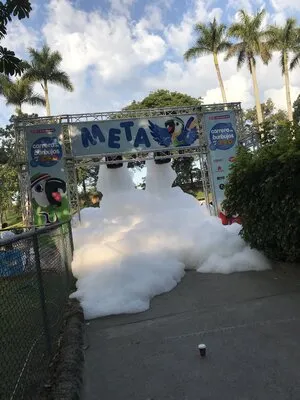 Meta carrera de burbujas