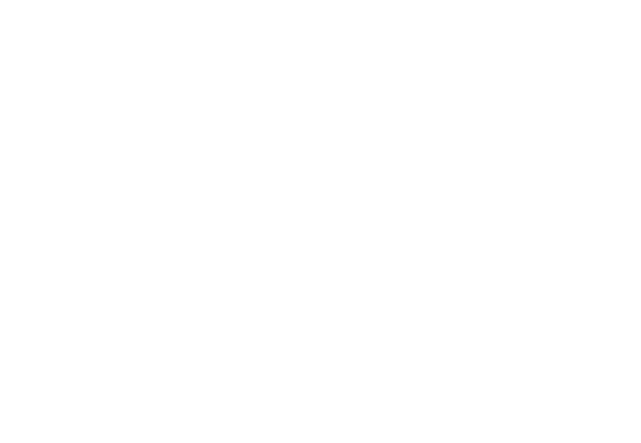 Pollo Brujo